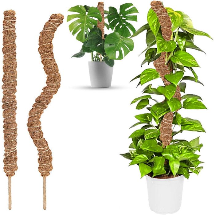 Lot De 2 Supports De Croissance Pour Plantes Grimpantes – Tuteur Jardin