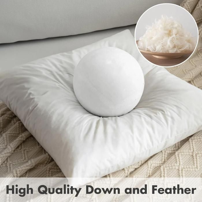 Garnissage de Coussin Rectangulaire 35x91 cm Insert Plumes et Duvet Housse Coton pour Canapé et Salon