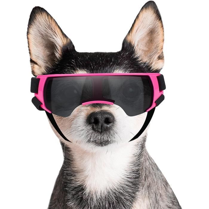 Lunettes De Natation Splash,Dino,Amusantes, Tendance