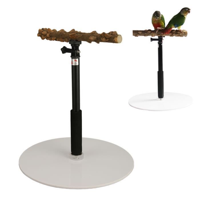 Stand à Oiseaux - Arbre à Oiseaux Durable Pour Perruches, Aire De Jeux