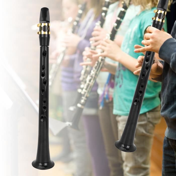 HURRISE Saxophone portable Kit de Saxophone de Poche Mini Saxophone de  Pratique pour Instrument à Vent instruments saxophone - Achat / Vente  saxophone HURRISE Saxophone portable 