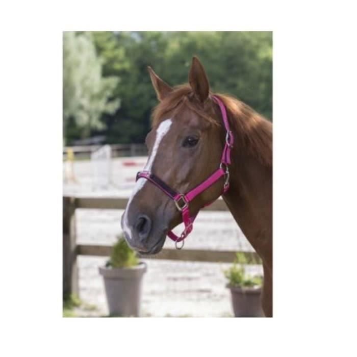 Comparer les prix de LICOL NYLON "FILET STRASS" équitation cheval