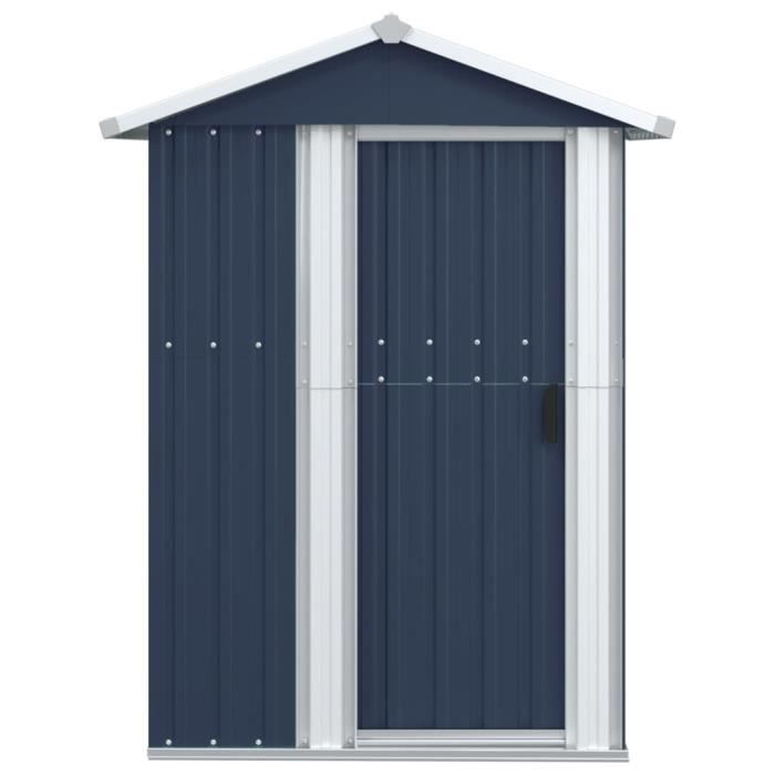 Zerodis Abri de jardin Anthracite 126x975x177 cm Acier galvanisé LE647