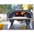 Four à pizza granulés bois BIGHORN - Portable - Plaque céramique - 460°C - Argent-1
