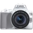 CANON EOS 250D + EF-S 18-55 IS STM - Appareil photo numérique - Blanc & Silver-1
