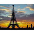 SMARTBOX - Paris en duo : visite de la tour Eiffel et dîner romantique avec vin ou champagne - Coffret Cadeau | 2 billets adulte pou-1