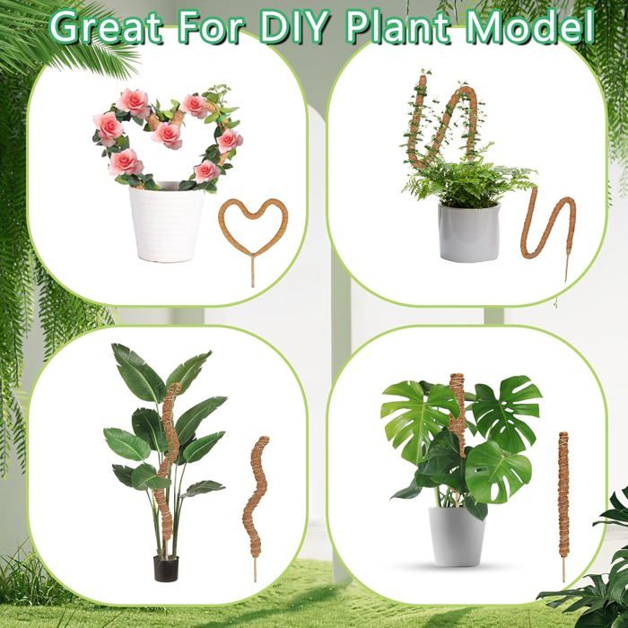 Sitemapcdatahttpsshudreferenzcomtuteur Plante Originalnull