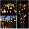 Guirlande Lumineuse Solaire 30 Boule LED, 6.5m Fil Souple Imperméable Eclairage Décoration pour Maison, Jardin-Blanc chaud-2