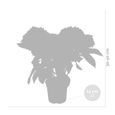 3x Hydrangea macrophylla Mix – Hortensia – Arbuste - Rustique – D14 cm - H30-40 cm-2