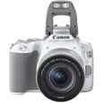 CANON EOS 250D + EF-S 18-55 IS STM - Appareil photo numérique - Blanc & Silver-2