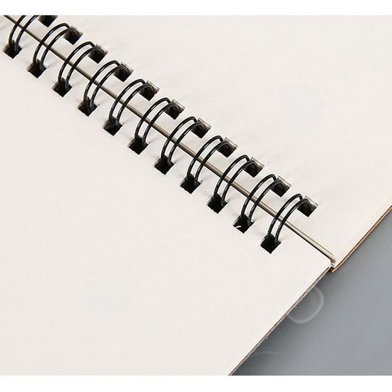 Perfect ideaz carnet de croquis de 96 pages (48 feuilles) DIN A4, carnet de dessin  professionnel, livre à spirales avec papier vi - Cdiscount Beaux-Arts et  Loisirs créatifs