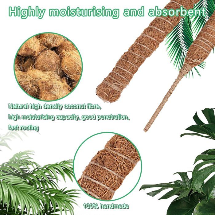 Lot De 2 Tuteurs Plantes Pliables 60 Cm – Poteau Coco Mousse Naturel Pour Monstera, Plantes Grimpantes – Kit Complet