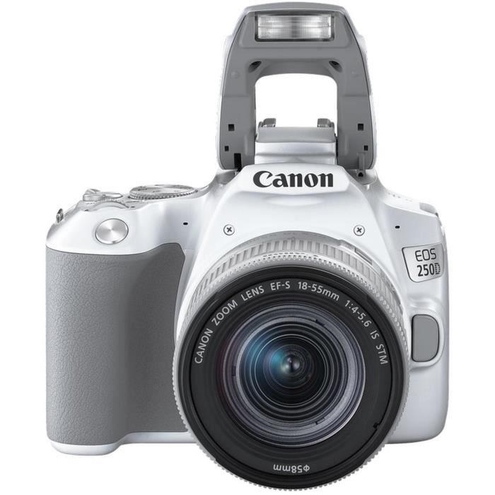Canon Ink Cart Canon EOS 250D-Appareil Photo Numerique-Reflex Vidéo 4k UHD  + SD 64GB Class 10 - Prix pas cher