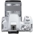 CANON EOS 250D + EF-S 18-55 IS STM - Appareil photo numérique - Blanc & Silver-4