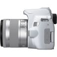 CANON EOS 250D + EF-S 18-55 IS STM - Appareil photo numérique - Blanc & Silver-6