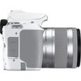 CANON EOS 250D + EF-S 18-55 IS STM - Appareil photo numérique - Blanc & Silver-7