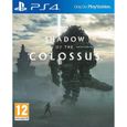 Shadow of the colossus