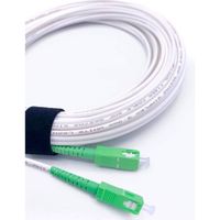 Elfcam -10 Mètres Câble à Fibre Optique ( Jarretière Optique) pour Orange, Bouygues et SFR, Rallonge Fibre Box