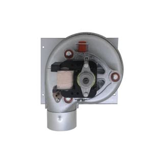 CHAUDIÈRE Ventilateur chaudiere 220v extracteur centrifuge ventilateur centrifuge industriel ventilateur radial poele à granulés bois four