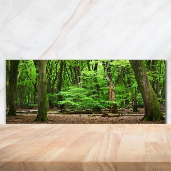 Panneau Mural Cuisine Tulup Sur Verre 140x70 Cm – Thème Forêt Verte