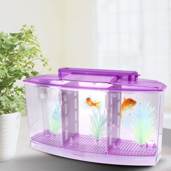 Aquarium De Bureau Zoegneer - Pour Poissons Betta, Lumières LED Réglables, Filtration 3 étages, Pompe Silencieuse