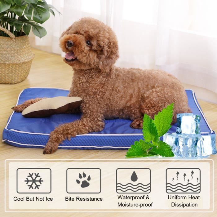 TEMPSA Tapis rafraichissant Tapis de refroidissement pour chien en été Coussin Cool Confort 73X46CM