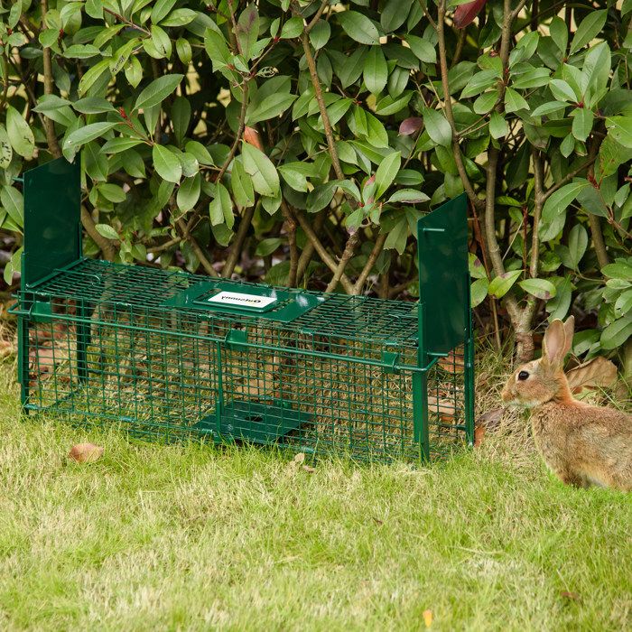 Piège de capture pour petits animaux type lapin rat - 2 entrées + poignée - dim. 60L x 18l x 20H cm - acier vert-.fr