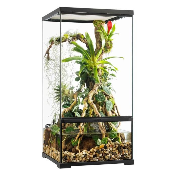Meilleurs prix pour Terrarium Paludarium 45x45x90cm Reptile Et Amphibien Pro Paludarium Pt4406 - Exo Terra
