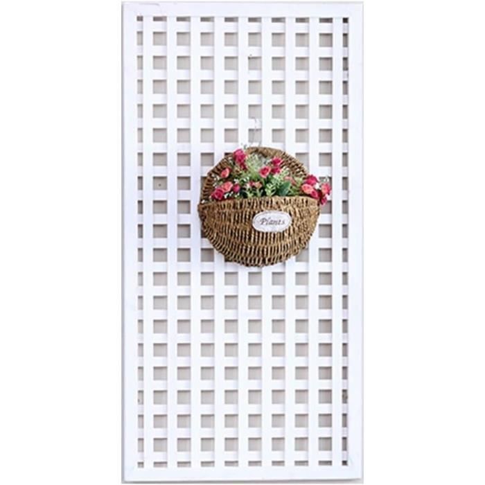 Milisten 18 Supports Muraux Pour Plantes Aériennes - Présentoir Spirale Décoratif Intérieur