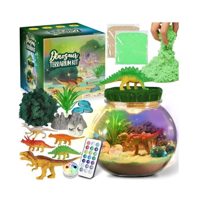 Kit de Terrarium de Dinosaures garçons Terrarium de Dinosaures Lumineux  Kit éducatif Les Arts et lartisanatArtisanat Dinosaure