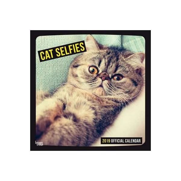 Calendrier Selfies De Chats 19 Achat Vente Calendrier Ephemeride Calendrier Selfies De Chats Cdiscount Calendrier Selfies De Chats 19 Achat Vente Calendrier Ephemeride Calendrier Selfies De Chats Cdiscount