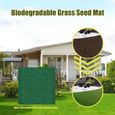 Tapis de graines de gazon artificiel biodégradable - Ruban de gazon 11.81x590.55 pouces - Blanc/Vert-2