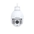 Foscam - Caméra IP Wi-Fi dôme PTZ 2MP - SD24-2
