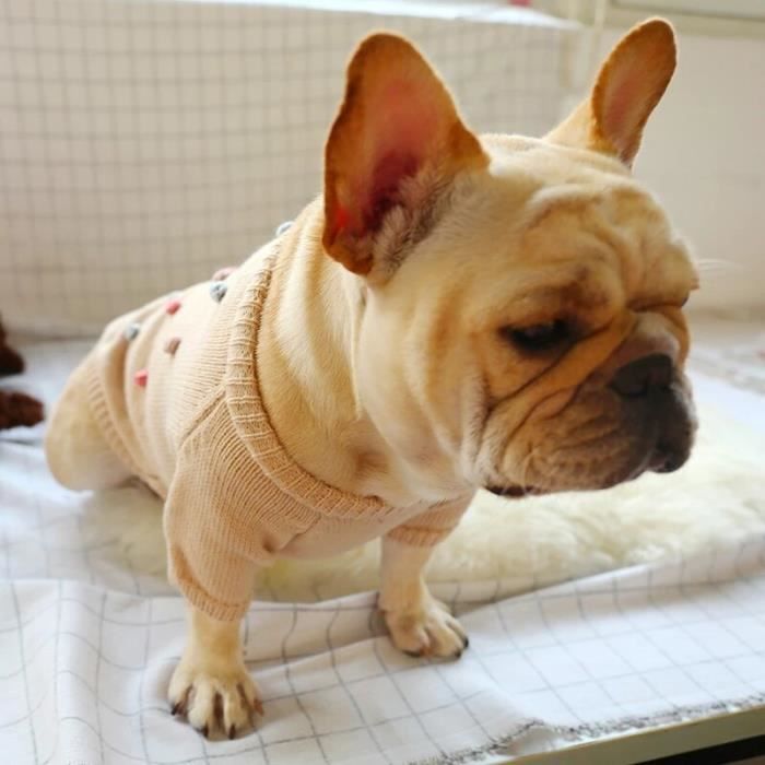 Pull bouledogue online
