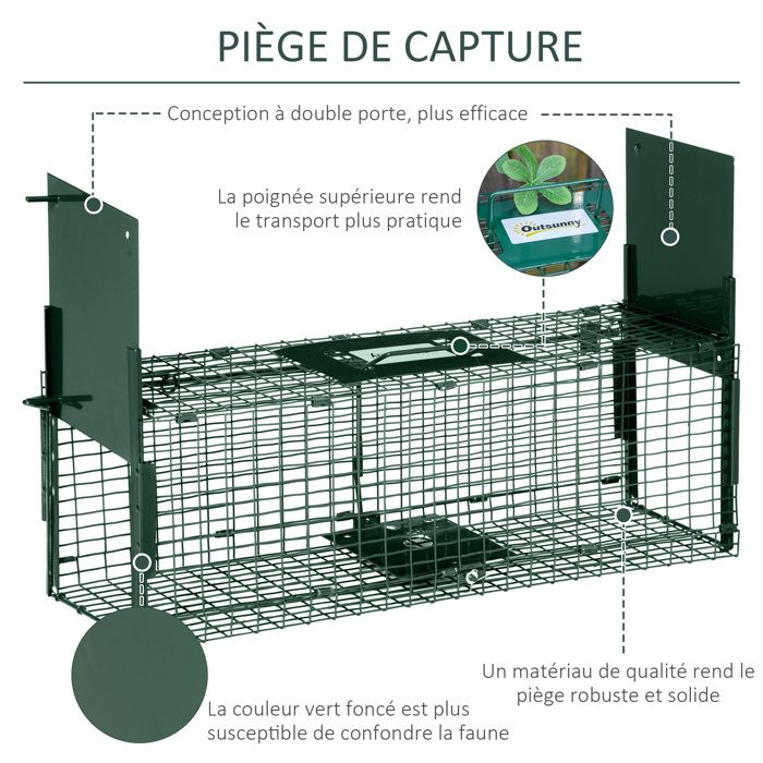 Pige Rat Castoramanull