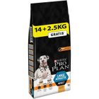 PRO PLAN Athletic Optibalance - Croquettes au poulet - Pour chien adulte de grande taille - 14 + 2,5 kg