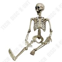 TD® Squelette Humain Articulé pour Décoration Halloween Party- Education - Médical