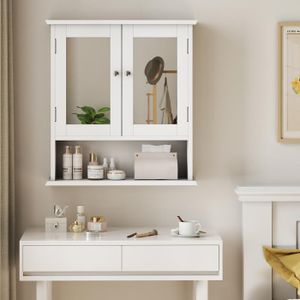 Everly Quinn Armoire à pharmacie murale ou miroir encastrable 20 po x