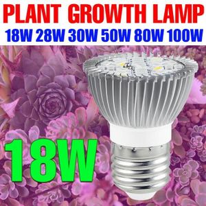 Lampe LED Horticole 50W,5 Têtes Lampe pour Plante avec Trépied 150LEDs avec  360° Adjustable,4-8-12H Cycle Minuterie,3 Modes&10 A46 - Cdiscount Jardin