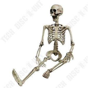 LANTERNE FANTAISIE TD® Squelette Humain Articulé pour Décoration Hall