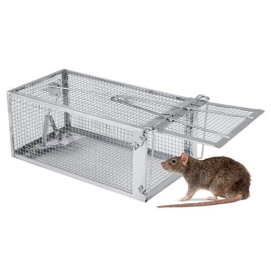 DSNOW Piège à Rats Et Souris Vivant - Cage Double Entrée 39x13x11 Cm, Captures Sans Blesser Mulots Rongeurs Écureuils