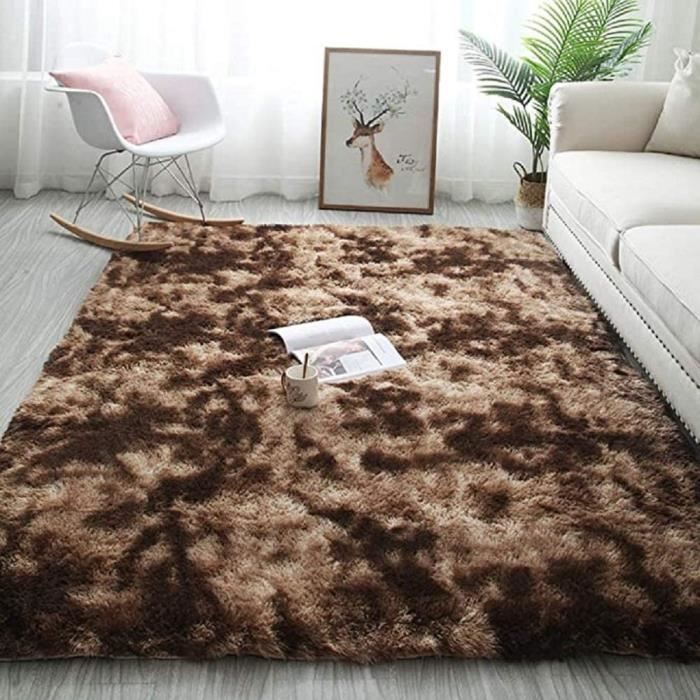 DESSOUS DE TAPIS Chambre Tapis de Sol pour Chambre Salon Shaggy Tapis De Sol Grand pour Couloir Chambre Tapis Moelleux de Salon22