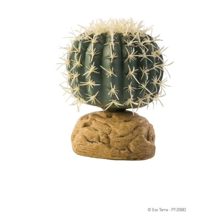 EXO TERRA Décoration Cactus Oursin - Petit modèle - Pour les reptiles et les amphibiens
