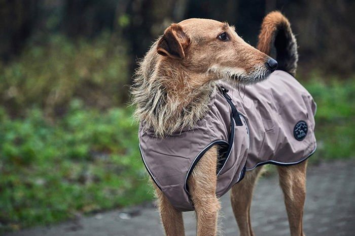 Comparer les prix de Manteau - blouson Hunter - 62965 - Uppsala Manteau pour Chien Taupe 75 cm