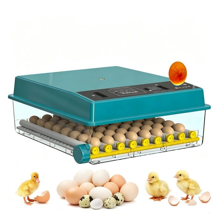 Couveuse Oeuf Automatique 64 oeufs Incubateur Hydratation et Humidification Auto Température Stable Retournement auto lampe LED
