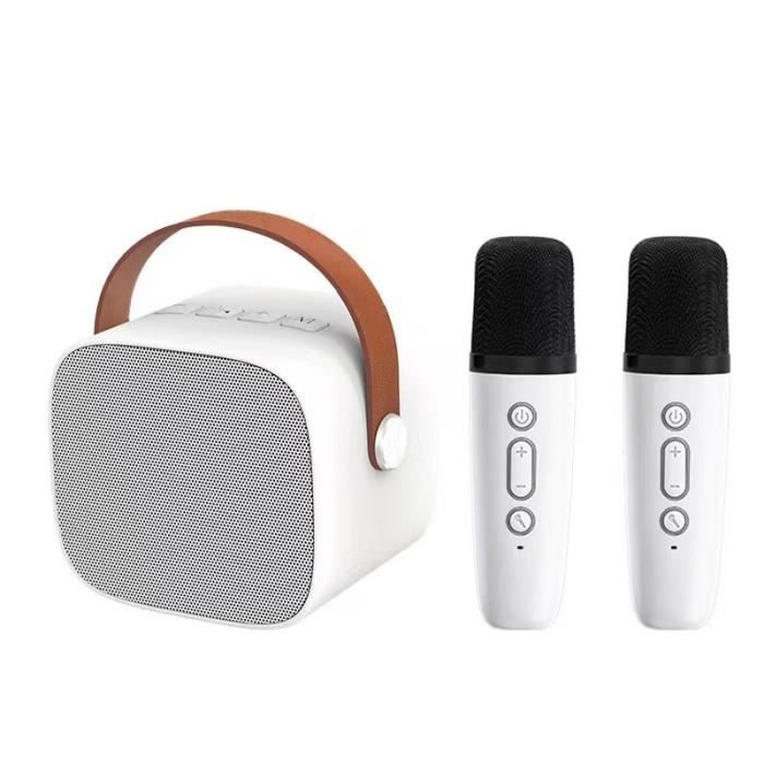 Mini machine de karaoké,Haut-parleur Bluetooth portable avec 2 microphones  sans fil, jouets, cadeaux danniversaire pour les - Cdiscount Jeux - Jouets