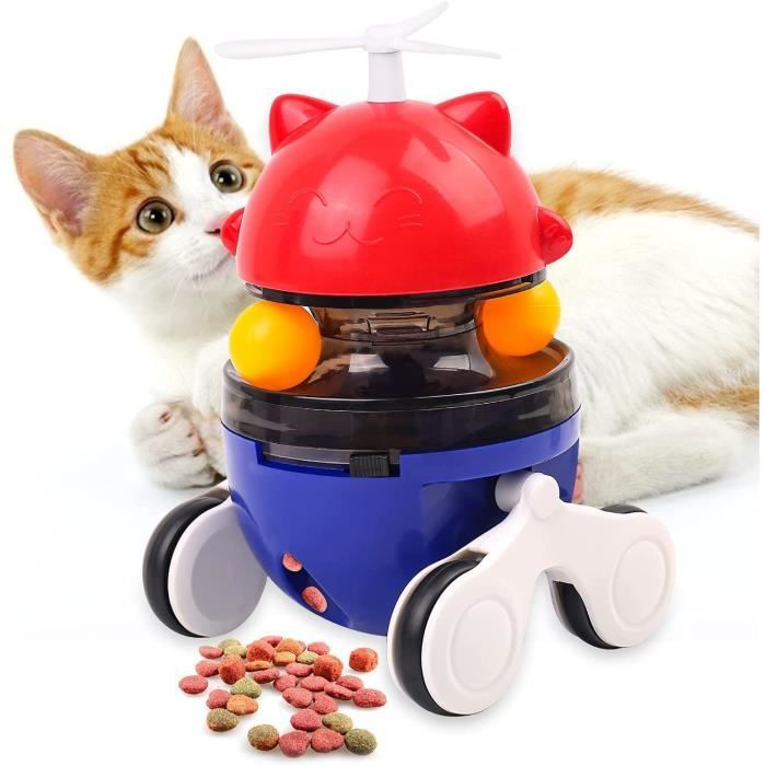 Chat interactif 2025