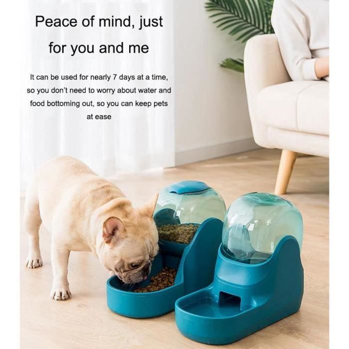 Distributeur D'Eau Pour Chat Et Chien, Conteneur De Stockage De Grande Capacité, Mangeoire