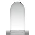 INNA-Glas Cloche de Verre Adelina, Cylindre - Ronde, Transparent, 40cm, Ø 19cm - Bocal à Bonbons - Récipient en Verre-0