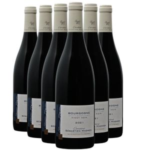 VIN ROUGE Bourgogne Pinot Noir Rouge 2021 - Lot de 6x75cl - 